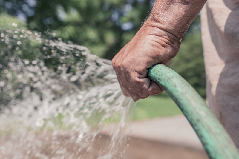 jardinerie-ST RAPHAEL-min_garden-hose-413684